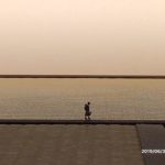 ミニチュアライフ展