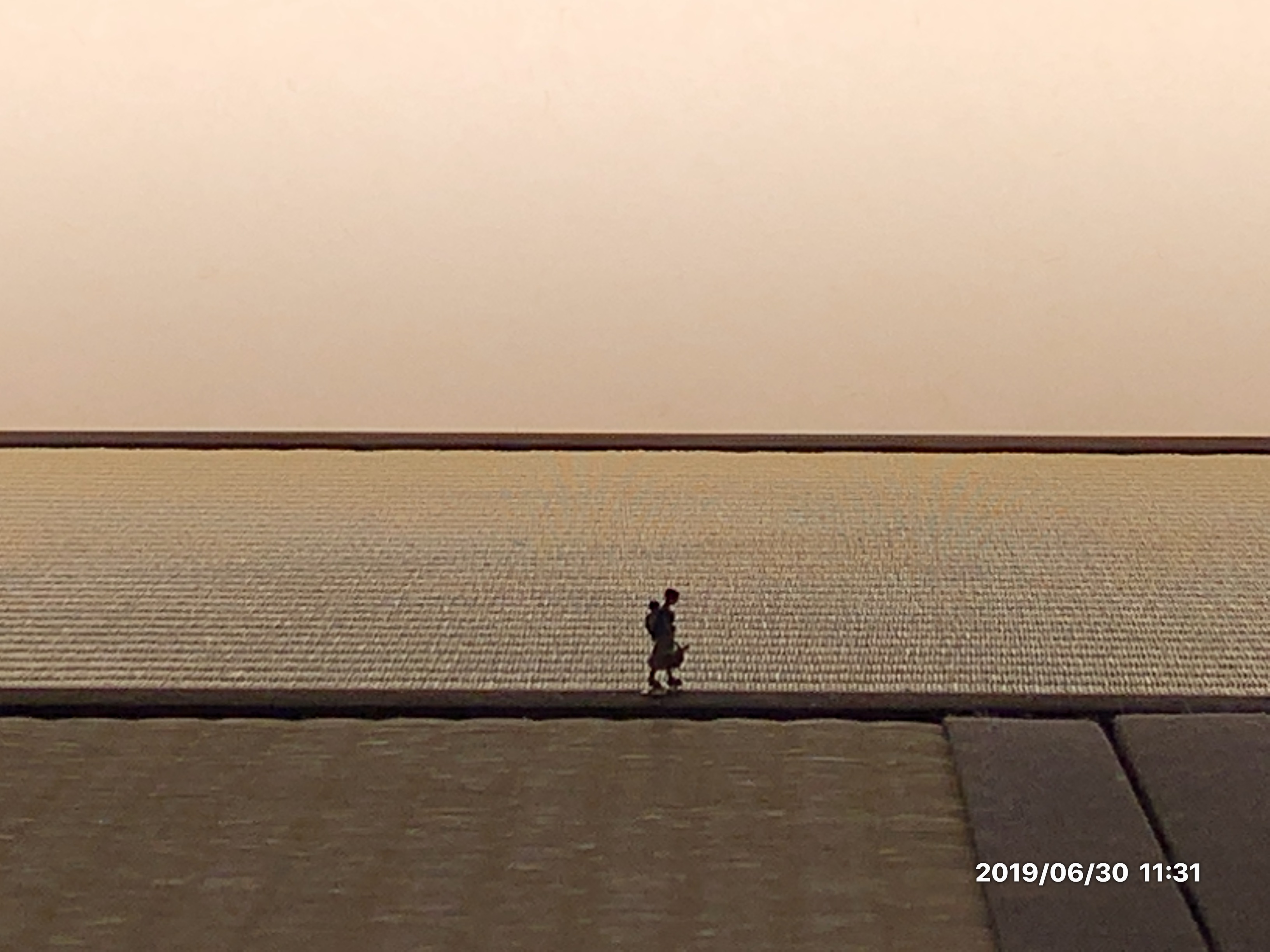 ミニチュアライフ展