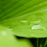 ちょっとほっこり