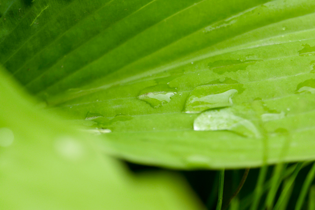 ちょっとほっこり
