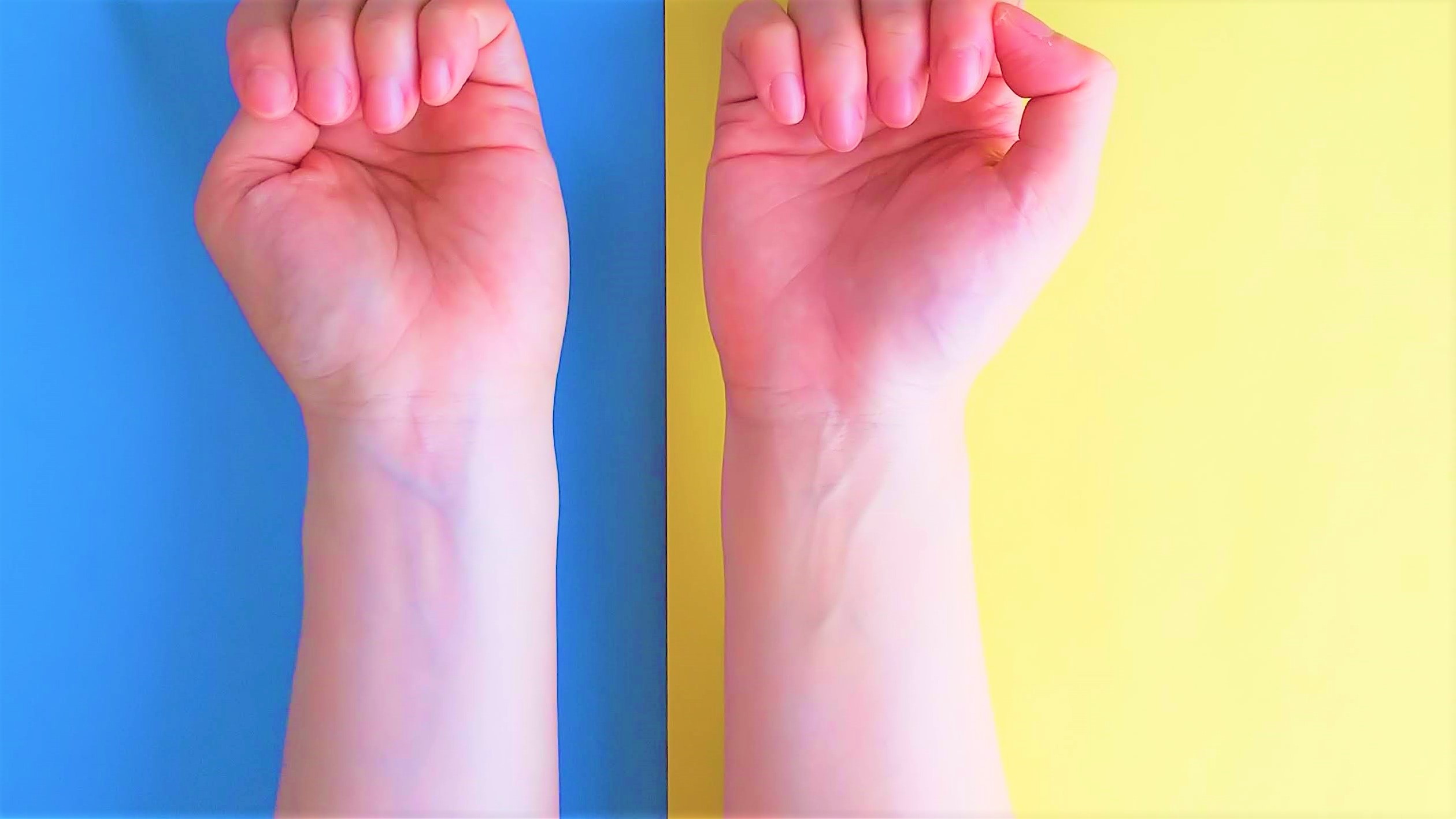 自分にぴったり！レンタル着物の選び方