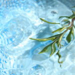 もう一つのコンテスト　AJCの早期エントリー