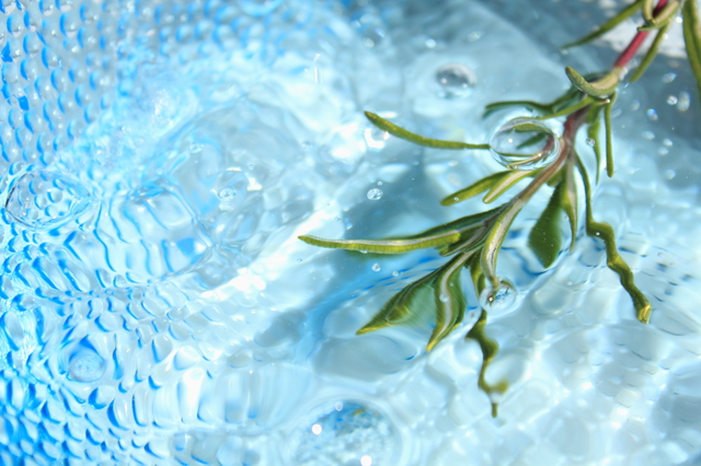 もう一つのコンテスト　AJCの早期エントリー